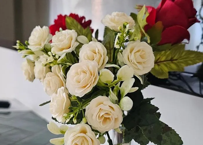 Dimi Living & Mit Kueche * Oberhausen (North Rhine-Westphalia)